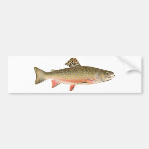 Brook Trout Art Bumpersticker