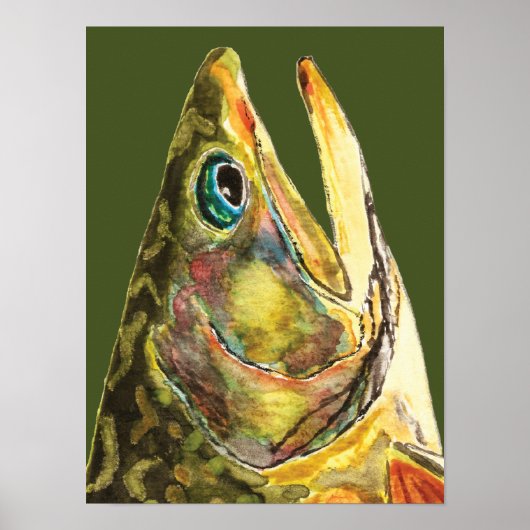 Brook Trout Fisherman Poster (Voorkant)