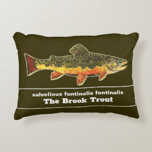 Brook Trout Fly Fishing Latijnse Name Ichthyology Accent Kussen