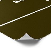 Brook Trout Fly Fishing Latijnse Name Ichthyology Poster (Hoek)