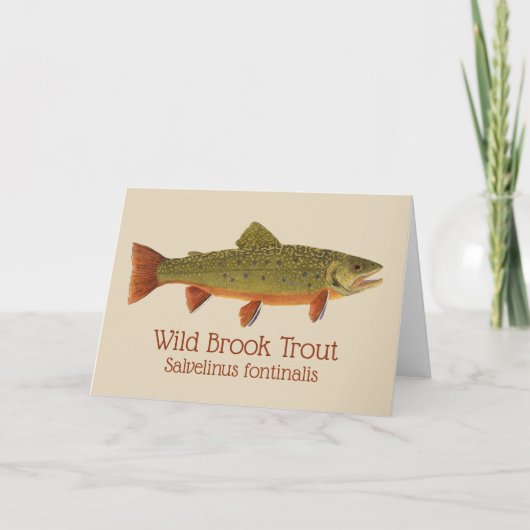 Brook Trout Groeten Kaart (Voorkant)
