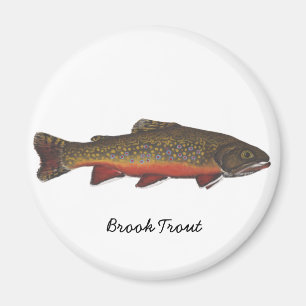 Brook Trout Magneet