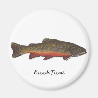 Brook Trout Magneet