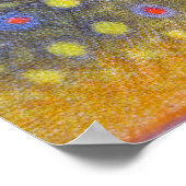 Brook Trout Poster (Coin)