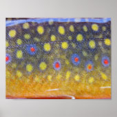 Brook Trout Poster (Devant)