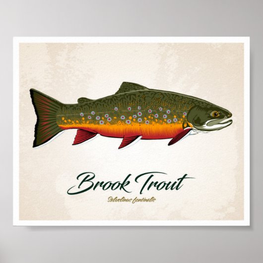 Brook Trout Poster (Voorkant)