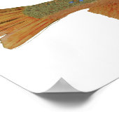 Brook Trout Poster (Hoek)