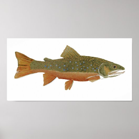 Brook Trout Poster (Voorkant)
