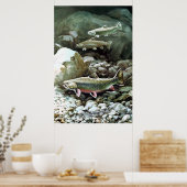 Brook Trout Poster (Keuken)