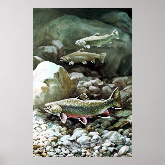 Brook Trout Poster (Voorkant)
