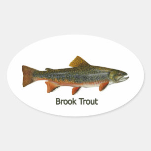 Brook Trout (titel) Ovale Sticker