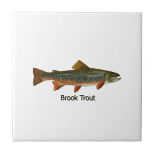 Brook Trout (titel) Tegeltje