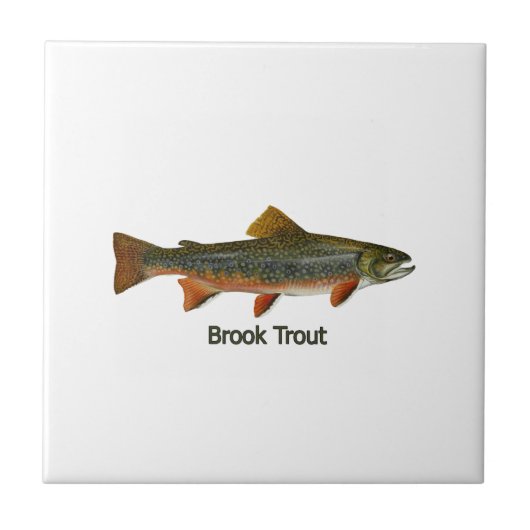 Brook Trout (titel) Tegeltje (Voorkant)