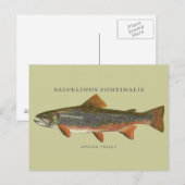 Brook Trout Vist Briefkaart (Voorkant / Achterkant)
