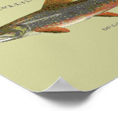 Brook Trout Vist Poster (Hoek)