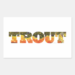 Brook Trout Vist Rechthoekige Sticker