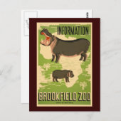 Brookfield Zoo Briefkaart (Voorkant / Achterkant)