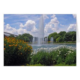 Brookfield Zoo - Carte Fontaine