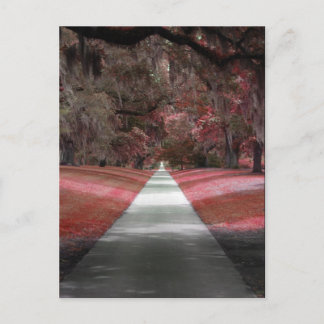 Brookgreen Gardens Briefkaart