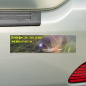 Brookie Bumpersticker (Op auto)