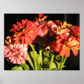 Brooklyn Bouquet Poster (Voorkant)