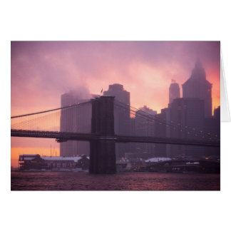 Brooklyn Bridge tijdens Snowstorm