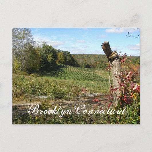 Brooklyn, Ct Briefkaart (Voorkant)