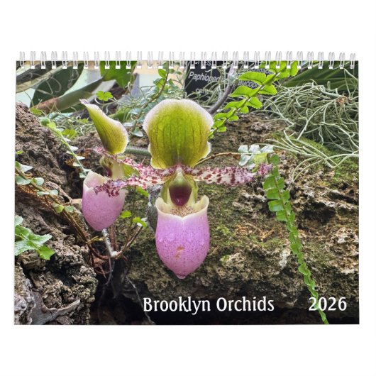 Brooklyn Orchids 2026 Kalender (Hoes)
