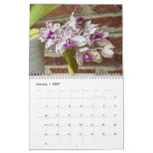 Brooklyn Orchids 2026 Kalender (Jan 2027)
