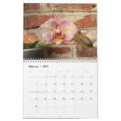 Brooklyn Orchids 2026 Kalender (Feb 2027)