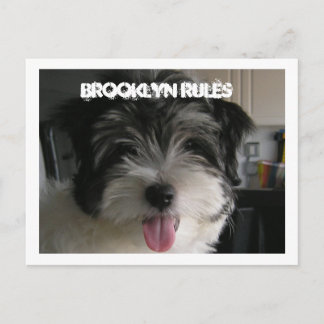 BROOKLYN REGELS BRIEFKAART