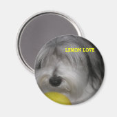 BROOKLYN RÈGLES LEMON LOVE MAGNET (Recto/Verso)