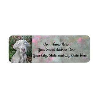Brooklyn's Garden Party - Weimaraner Dog Address Etiket