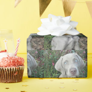 Brooklyn's Garden Party - Weimaraner Dog Cadeaupapier