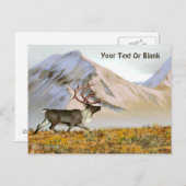 Brooks Range Cariou Briefkaart (Voorkant / Achterkant)