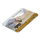 Brooks Range Cariou Magneet (Linkerzijde)