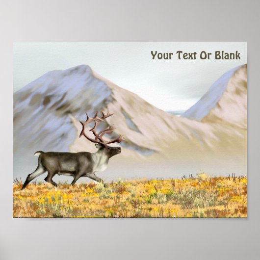Brooks Range Cariou Poster (Voorkant)