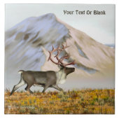 Brooks Range Cariou Tegeltje (Voorkant)