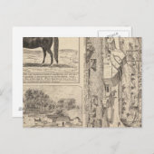 Brookside Dairy Boerderij Briefkaart (Voorkant / Achterkant)