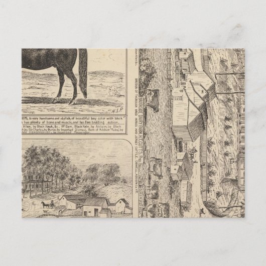 Brookside Dairy Boerderij Briefkaart (Voorkant)