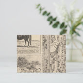 Brookside Dairy Boerderij Briefkaart (Staand voorkant)