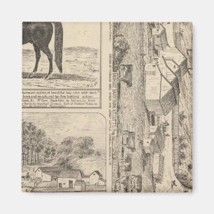 Brookside Dairy Boerderij Magneet