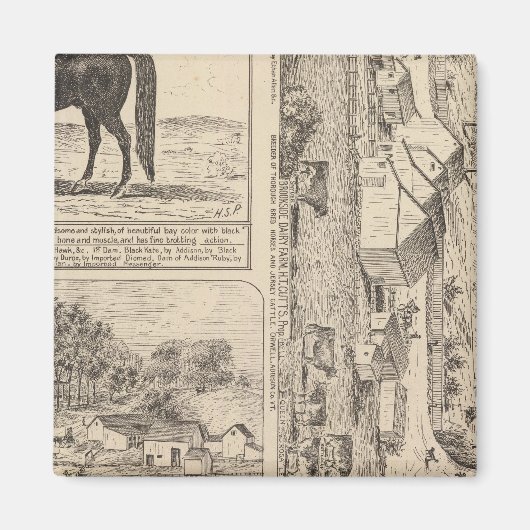 Brookside Dairy Boerderij Magneet (Voorkant)