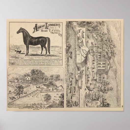 Brookside Dairy Boerderij Poster (Voorkant)