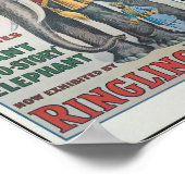 Bros Big Bingo l'éléphant Poster du Cirque (Coin)