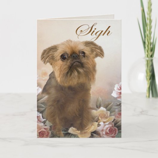 Brosell Griffon Vous Manquant Cartes (Devant)