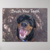 Brosse tes dents Rottweiler Poster de chiot (Devant)
