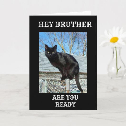 BROTHER IS "40" ZEGT DAT DE ZWARTE KAT IS KAART (Kleine Plant)