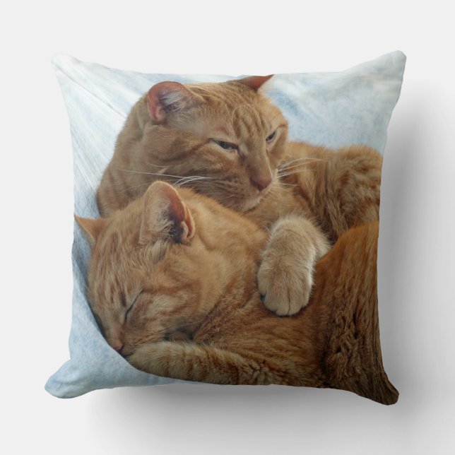 Brotherly Love Pillow Kussen (Voorkant)