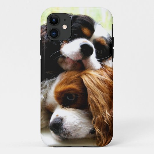 Brothers Cavaliers iPhone 5/5S Hoesje (Achterkant)
